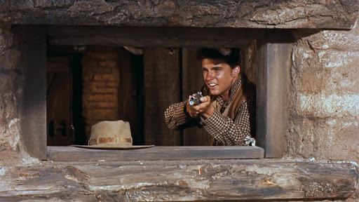 hakws rio bravo recensione 134