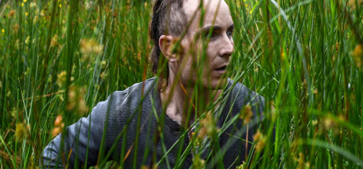 the survivalist