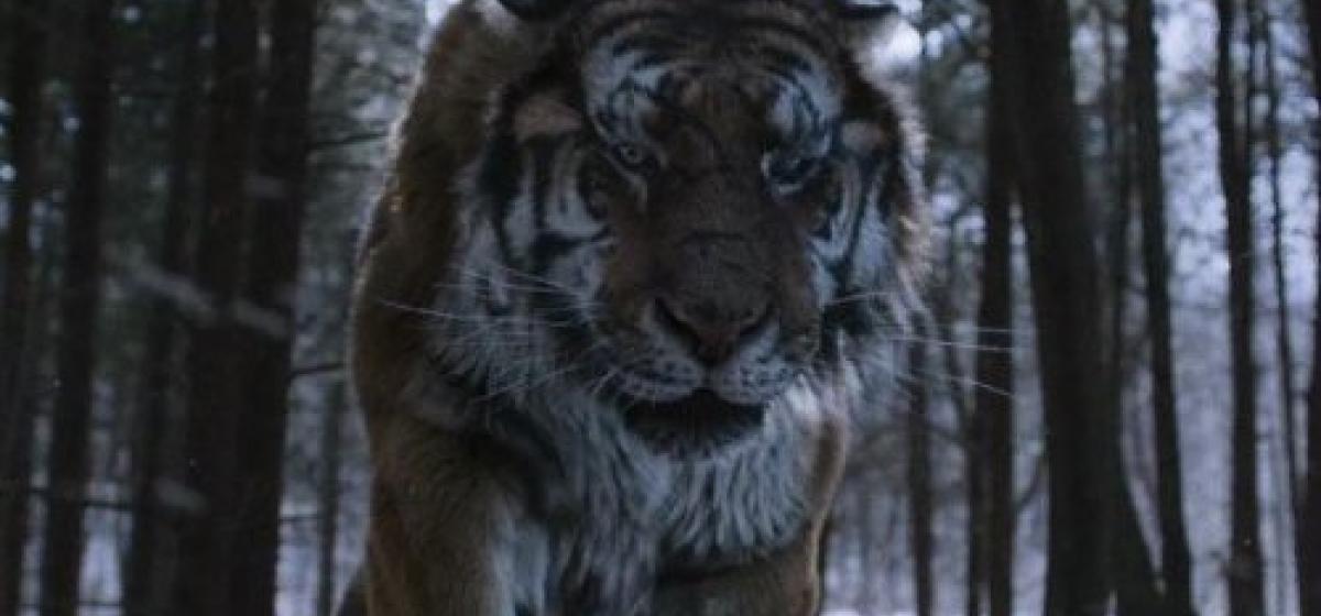 the tiger recensione film far east