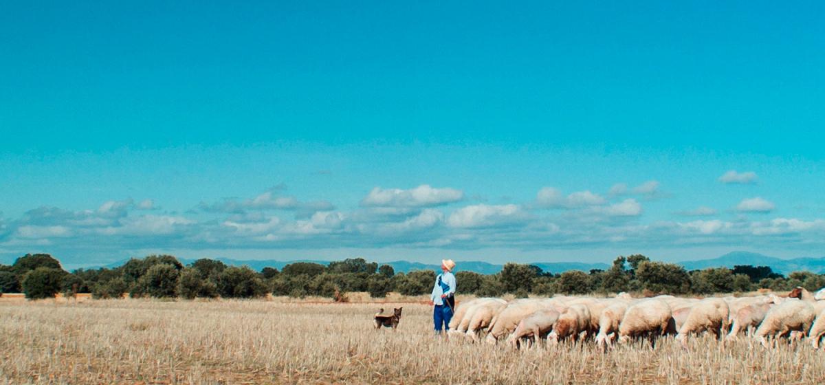 Inland (Meseta) di Juan Palacios 